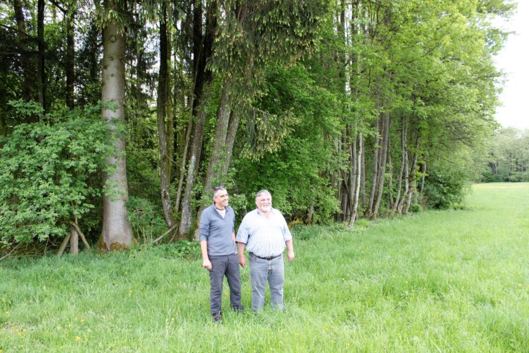 Adjectif Relatif à L Exploitation De La Forêt