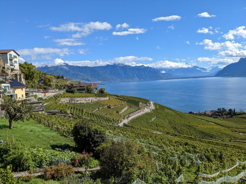 Chexbres Plus de forêt que de vignes ! Le Courrier